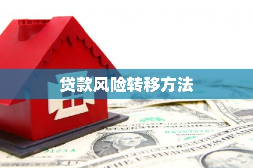 巴音郭楞蒙古贷款风险转移方法