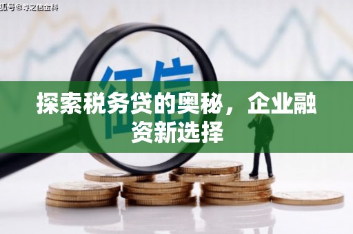 香洲探索税务贷的奥秘，企业融资新选择