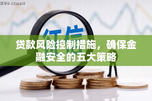 青山贷款风险控制措施，确保金融安全的五大策略