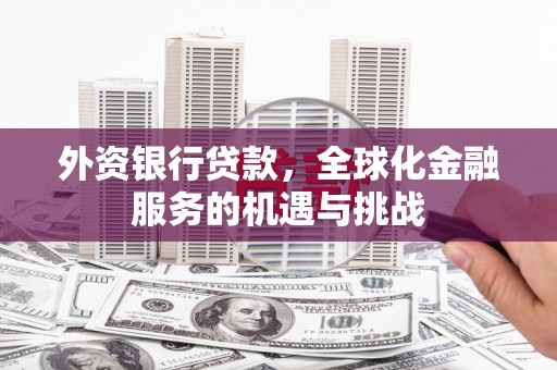 泸西外资银行贷款，全球化金融服务的机遇与挑战