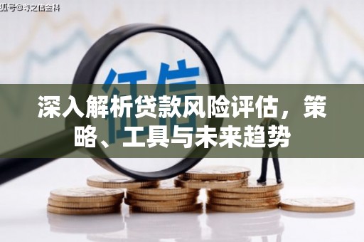 土库深入解析贷款风险评估，策略、工具与未来趋势