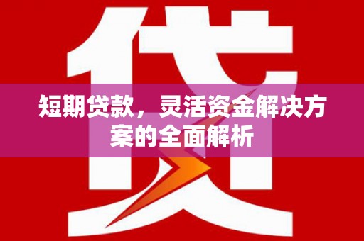 泾河短期贷款，灵活资金解决方案的全面解析