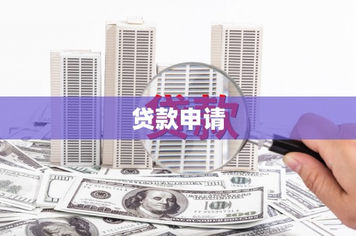 新营贷款申请