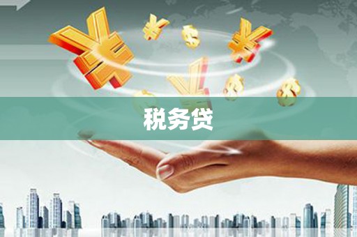 靖宇税务贷