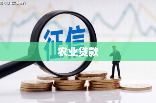 汤原农业贷款