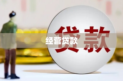 乐东经营贷款