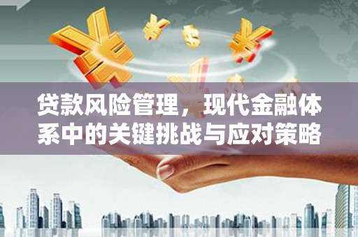 琼中贷款风险管理，现代金融体系中的关键挑战与应对策略