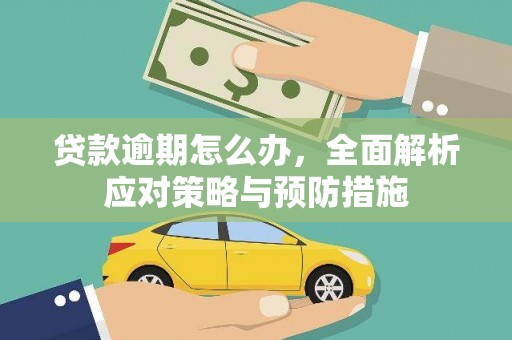 白水贷款逾期怎么办，全面解析应对策略与预防措施