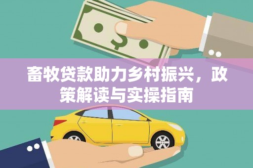 儋州畜牧贷款助力乡村振兴，政策解读与实操指南