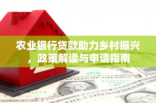 泰州农业银行贷款助力乡村振兴，政策解读与申请指南