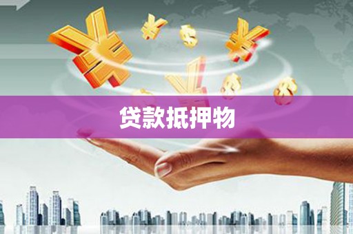 安国贷款抵押物
