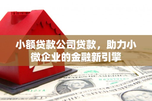 启东小额贷款公司贷款，助力小微企业的金融新引擎