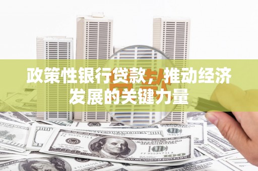 伊吾政策性银行贷款，推动经济发展的关键力量