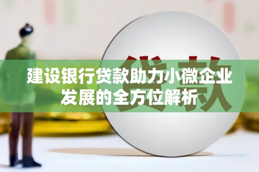 大关建设银行贷款助力小微企业发展的全方位解析