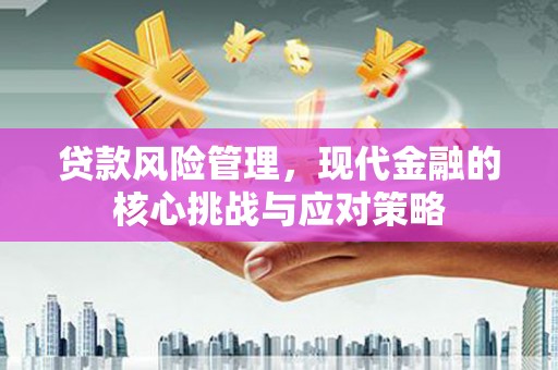 舟曲贷款风险管理，现代金融的核心挑战与应对策略