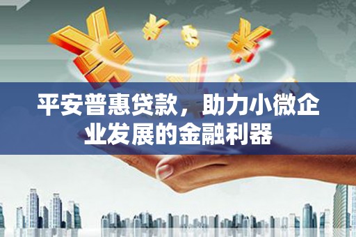 黎川平安普惠贷款，助力小微企业发展的金融利器