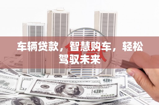 册亨车辆贷款，智慧购车，轻松驾驭未来
