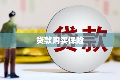 峄城贷款购买保险