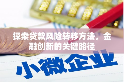 巴里坤探索贷款风险转移方法，金融创新的关键路径