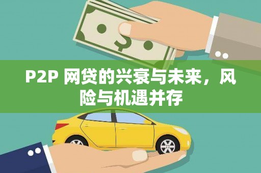 安国P2P 网贷的兴衰与未来，风险与机遇并存