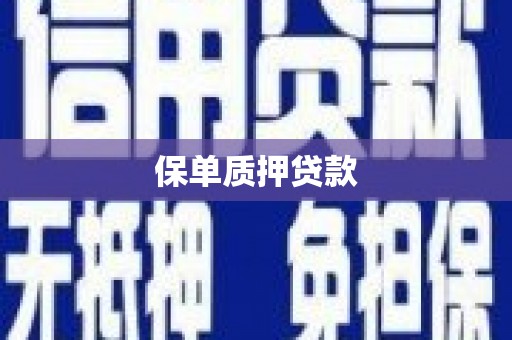 漯河保单质押贷款
