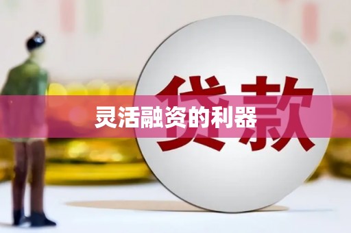 溆浦灵活融资的利器