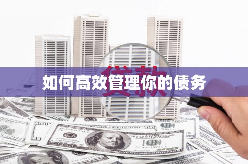 望奎如何高效管理你的债务