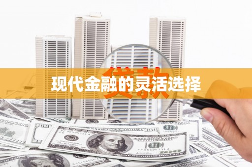 小店现代金融的灵活选择