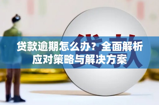 士林贷款逾期怎么办？全面解析应对策略与解决方案