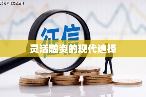 屏边灵活融资的现代选择