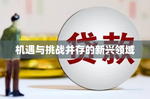 湖北机遇与挑战并存的新兴领域