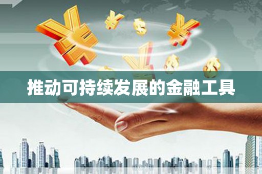 民雄推动可持续发展的金融工具