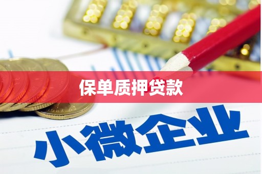 忠县保单质押贷款