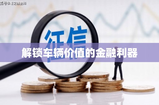 望谟解锁车辆价值的金融利器