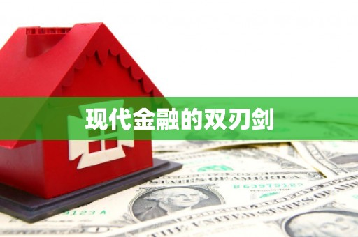 美姑现代金融的双刃剑